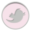 Follow on Twitter