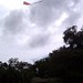 IMAG0042