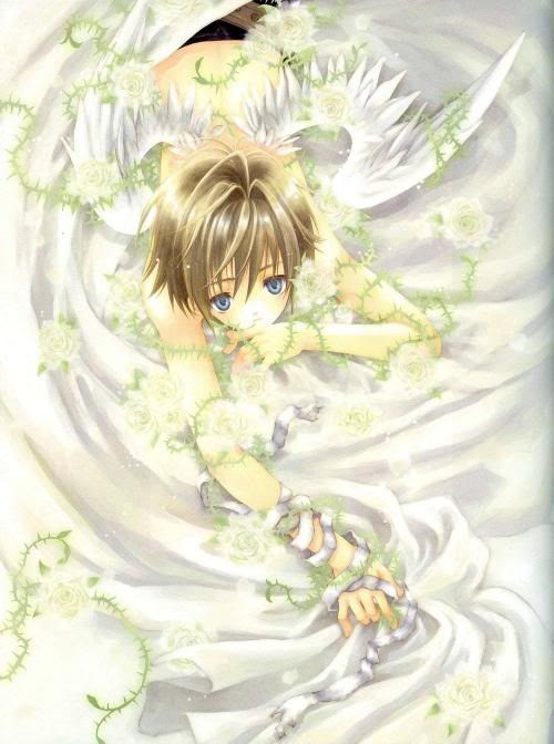 anime angel boy. 80%. Brown