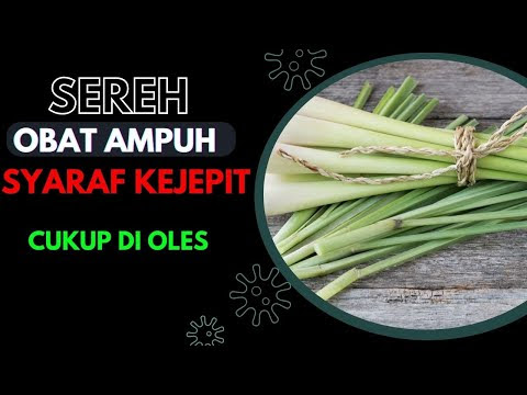 Jual Saraf Kejepit Punggung