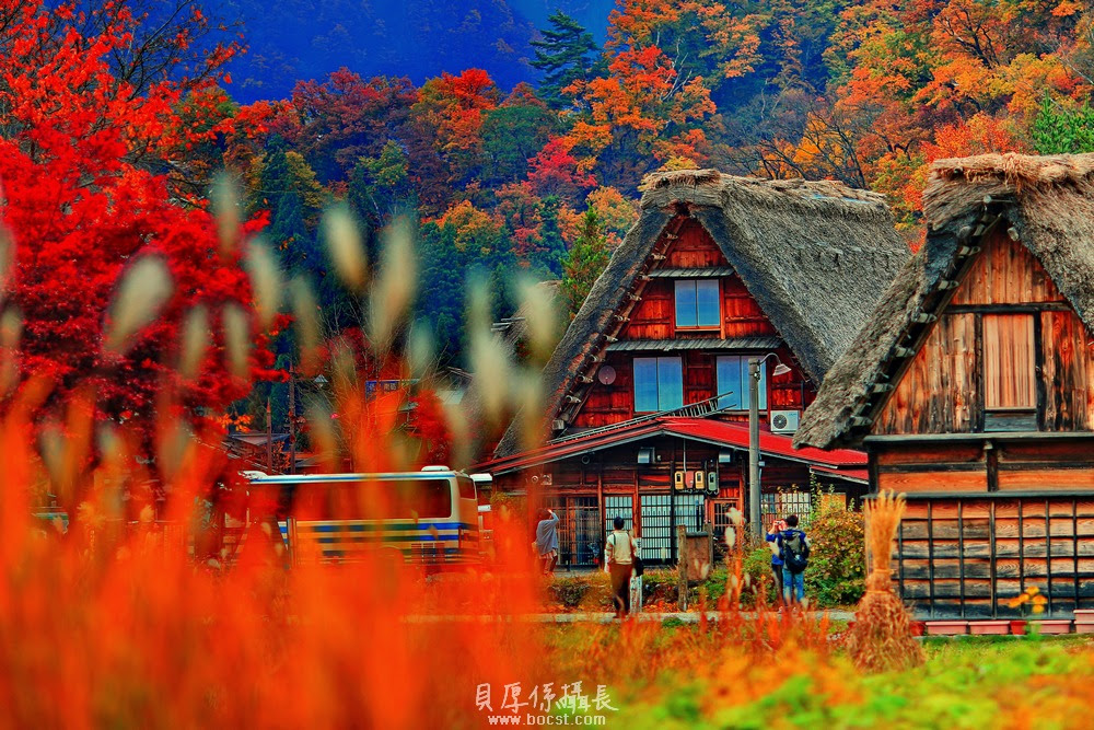 圖檔