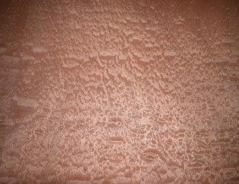 Sapele pommele - Bois Lamica