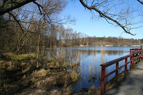 IMG_2908_vid lillsjön_vår