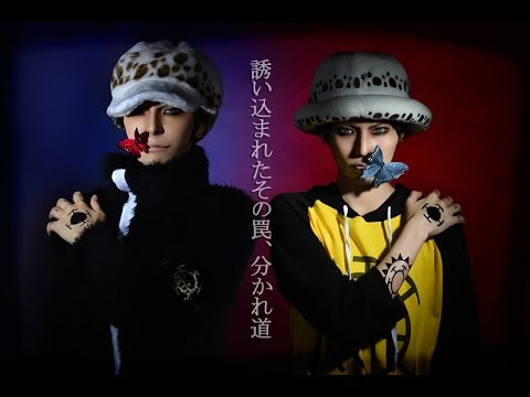 ロー 画像