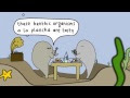 Видео World Wildlife Fund - Mr Scruff viral
