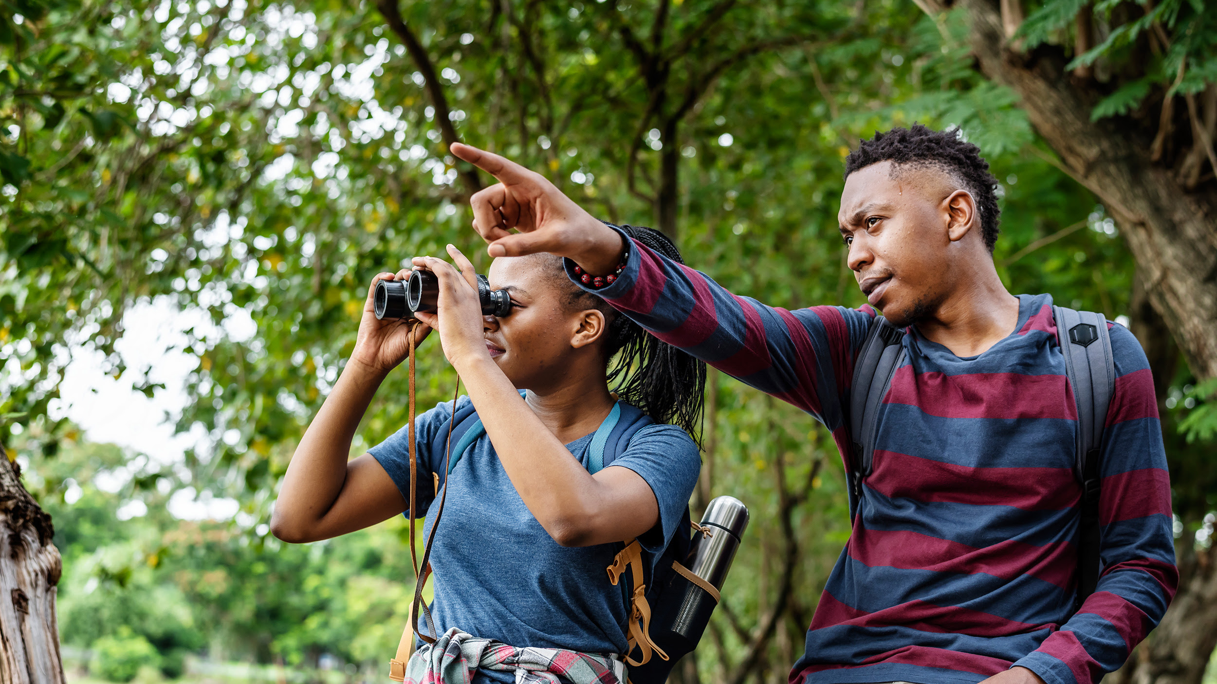 Best binoculars 2021: For birdwatching, nature spotting or general  exploring | T3