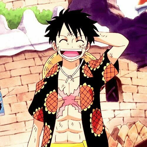Luffy Dressrosa One Piece Anime Amino