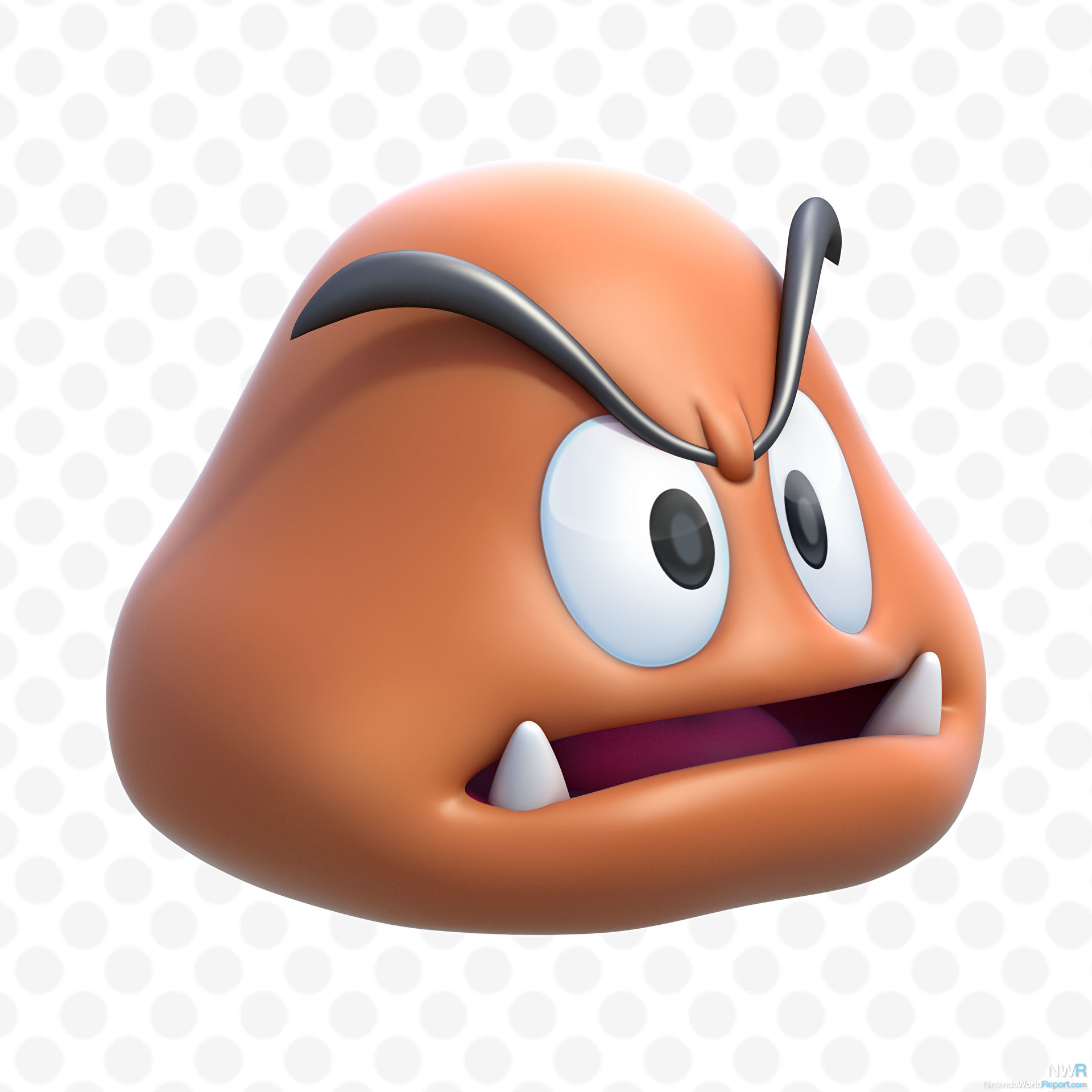 Items And Power Ups Guide Nintendo World Report