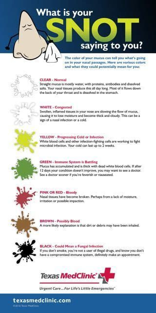  phlegm color meaning www imgkid the image kid has it getting rid of