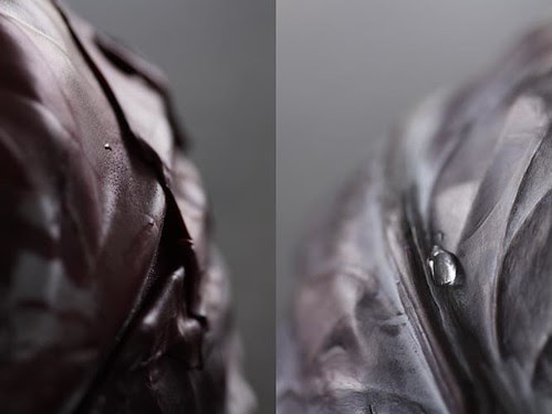 Red Cabbage Diptych