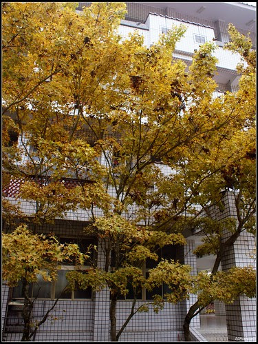 DSC09440