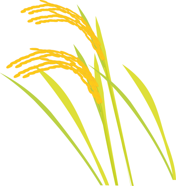 稲 新米 秋のイラスト 無料イラスト