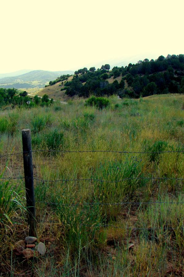 http://img.geocaching.com/cache/log/97c72309-6b54-445a-b043-f9be5de57b8f.jpg