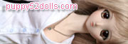 puppy52dolls