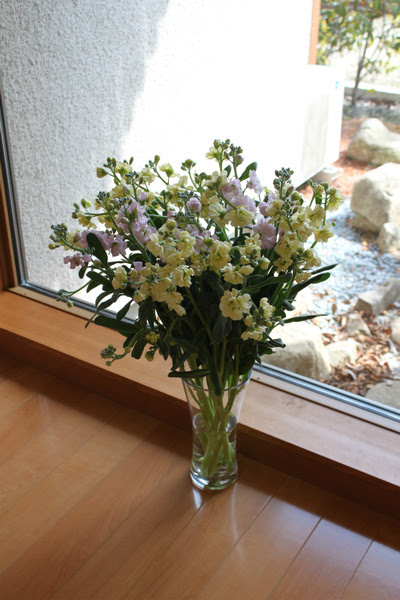 Flower Life Happy Life By ヌボー生花店 Weekly Flower ストック