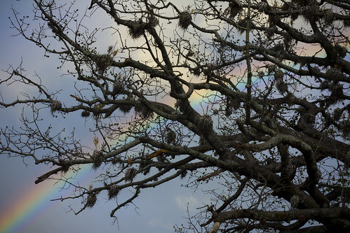 El arcoiris mas bello que he visto