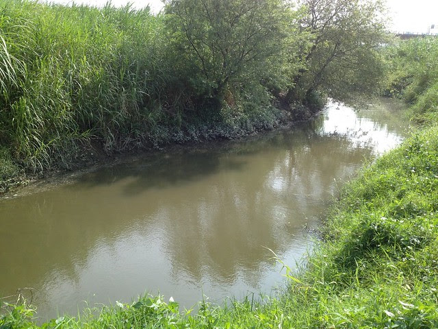 華江雁鴨自然公園
