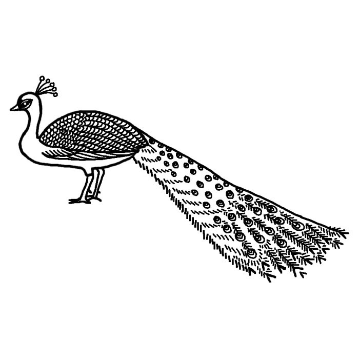 クジャク1 白黒 鳥 動物の無料イラスト素材