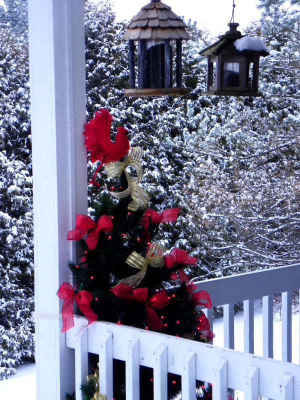 Christmas Is For The Birds