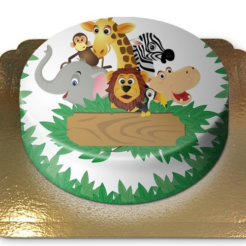 Anniversaire24 Gateau Anniversaire Animaux