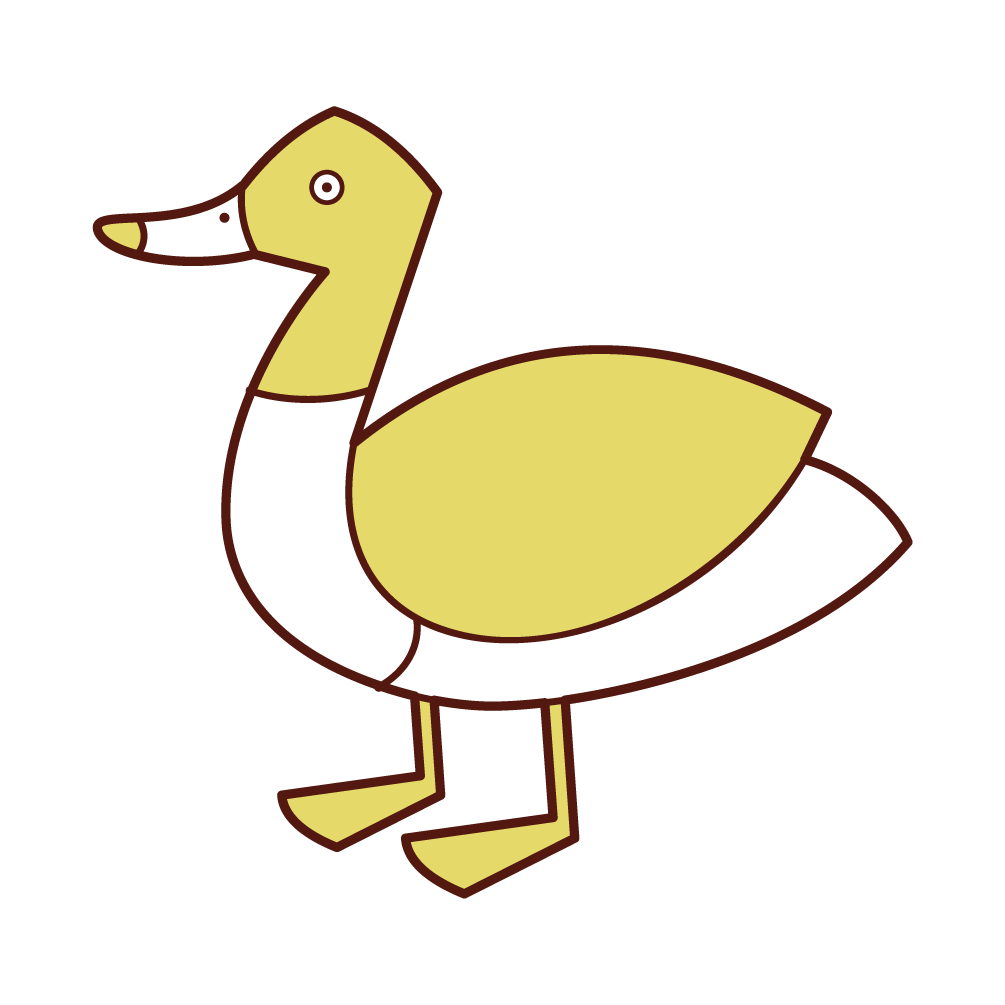 カモのイラスト フリーイラスト素材 Kukukeke ククケケ
