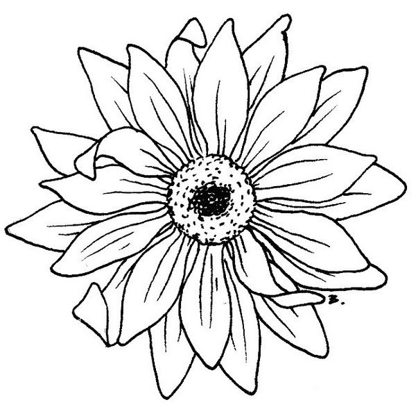 Free Free 318 Printable Simple Sunflower Clipart SVG PNG EPS DXF File