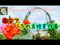 ++ 50 ++ バラ 支柱 348601-バラ 支柱 おしゃれ