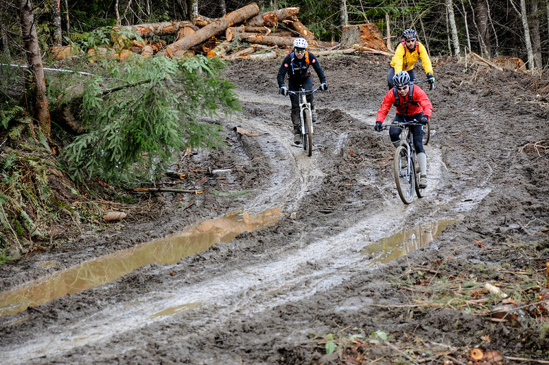 Timber Logjam-53.jpg