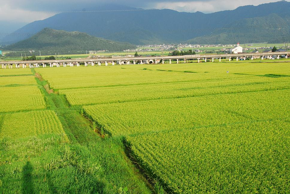 新潟県魚沼市で35 3 日本一は 大分県と広島県で38 3 日本の原風景