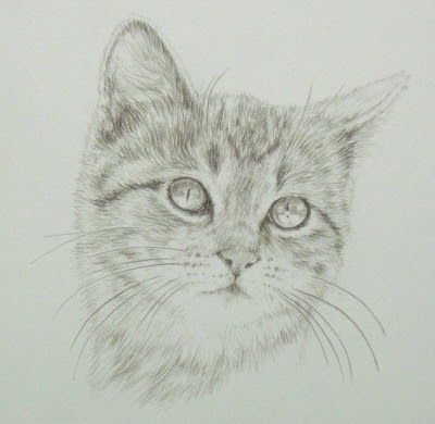 鉛筆でリアルに猫を描きました 藤重日生の 猫絵 と 猫絵手紙