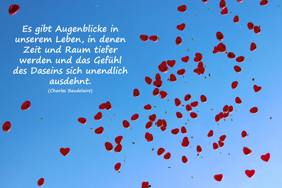 zum geburtstag nur das beste