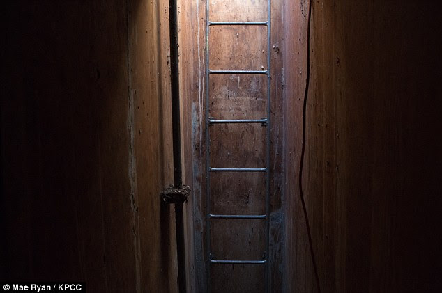 This Couple Discovered A Mysterious Tunnel In Their Newly-Bought Home. They Were In Shock When They Found Out What's Inside! 
