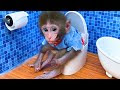 √完了しました！ baby monkey 226486-Baby monkey