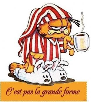 Grippe : comment se dbarrasser daposune grippe? Quel est le