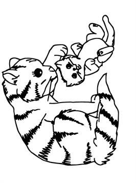 Kleurplaat Katten