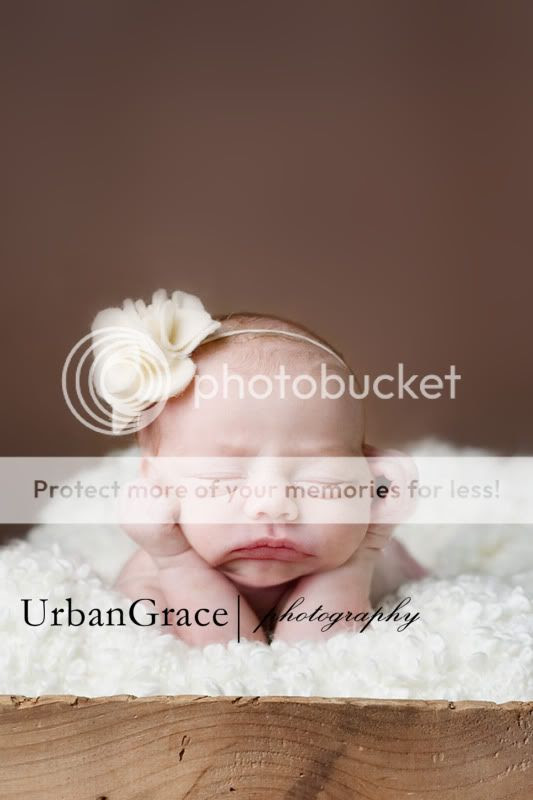 atlanta newborn phtographer newborn photography buford newborn photographer