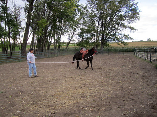 training_saddlelunge
