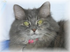 Lucy