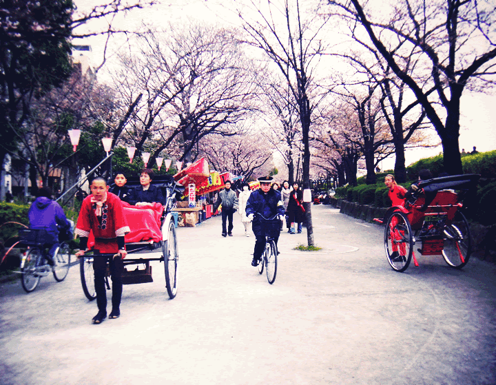 DSCF1697 Asakusa (Animated GIF/wiggle 3D)