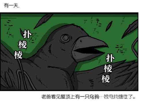 搞笑漫画 来自一只乌鸦的报恩 玩的就是心跳 雪花新闻
