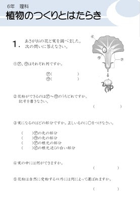 ドリルズ 小学4年生 理科 の無料学習プリント植物のつくりとはたらき