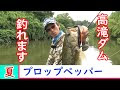 ++ 50 ++ 高滝ダム 釣果 255008-高滝ダム 釣果
