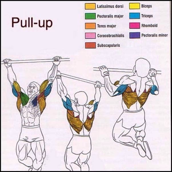 READ: Pull-ups VS Chin-ups. What’s Better?