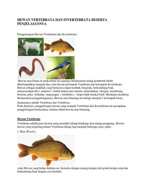 keren abis    dimaksud  hewan vertebrata