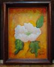 Poppy  White floral Group oil paintings