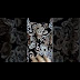 ام نور : أم نور:طبق اليقطين أو القرعة سلاوية بدون لحوم، بطريقة صحية ... / متن و ترجمهٔ دعای نور.