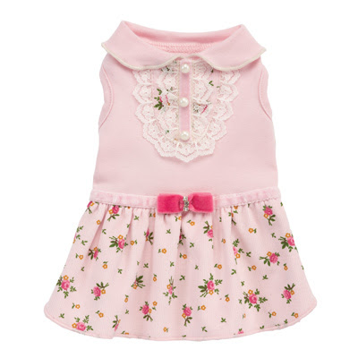  Clothes  Accessories on Darling Darla Dog Dress   Designer Dog Clothes At Glamourmutt Com