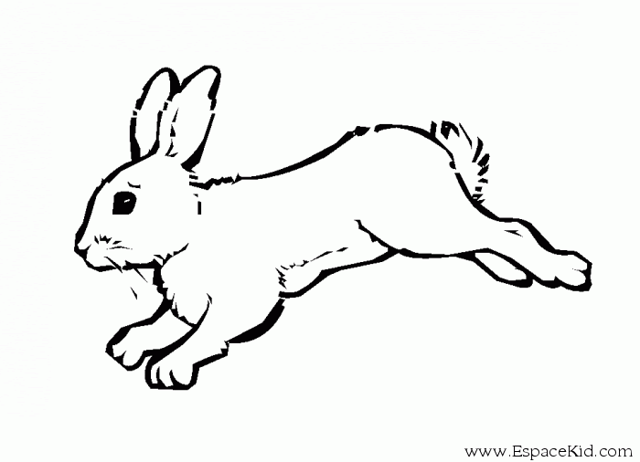 Coloriage Lapin A Imprimer Dans Les Coloriages Lapin Dessin A Imprimer
