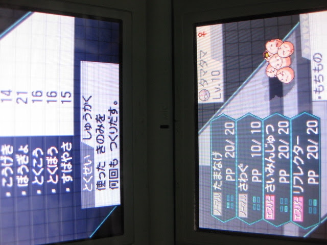 ポケットモンスターブラック ホワイトプレイ日記