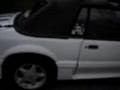 LOUD 93 MUSTANG GT 40 373 gears 5.0 302 FORD RACING E303 CAM Laredo Houston ...